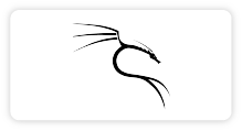 kalilinux logo
